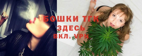 молекула духа Мегион
