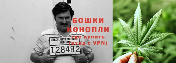 молекула духа Мегион