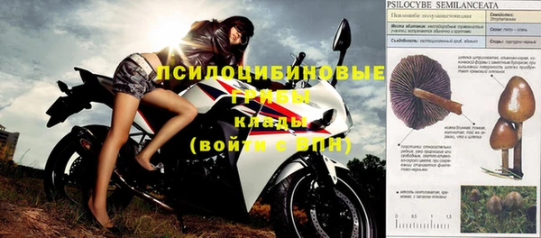 молекула духа Мегион