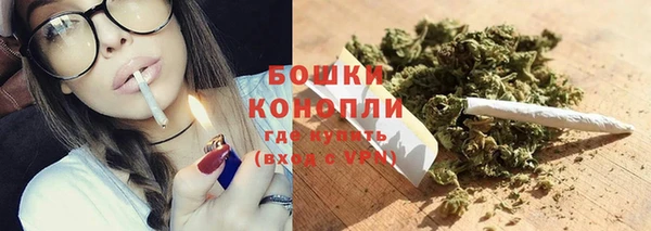 гидра Медвежьегорск