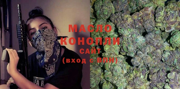 гидра Медвежьегорск