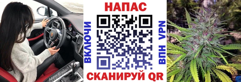 купить закладку  omg tor  Марихуана сатива  Белый 